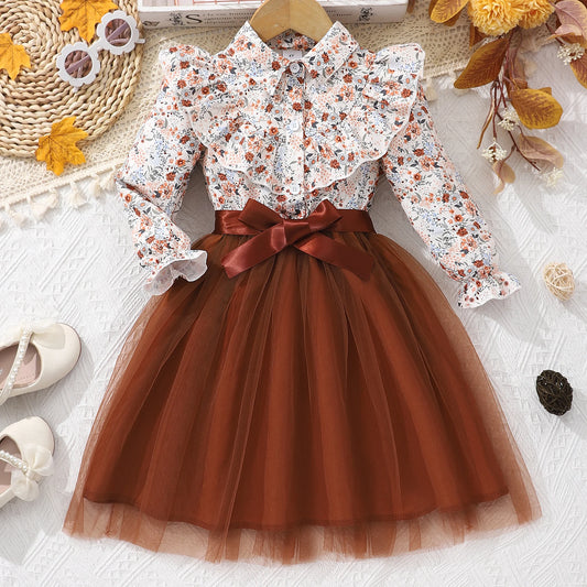 Long sleeved lapel floral print mesh Dress