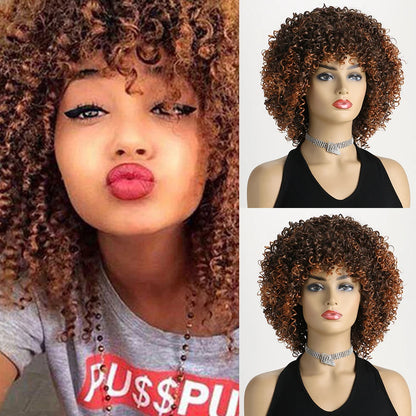 Afro Kinky Curly Soft Fluffy Hair Wigs