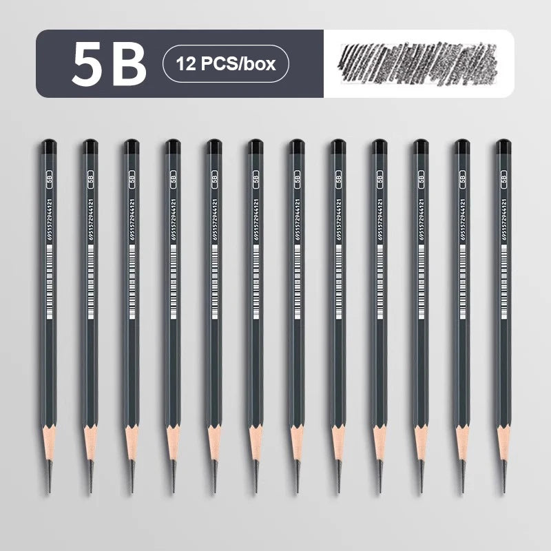 2H HB B 2B 3B 4B 5B 6B 7B 8B 12B 14B Sketch Drawing Graphite Charcoal Pencils Set