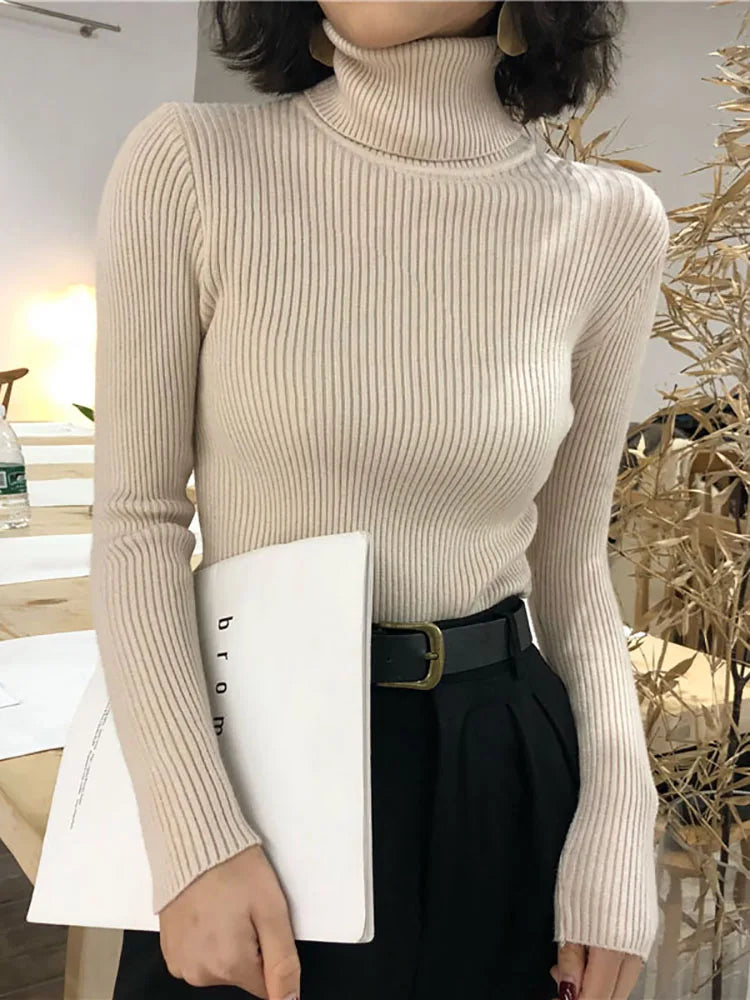 Turtleneck Sweater Korean Slim Pullover Jumper Knitted Sweater