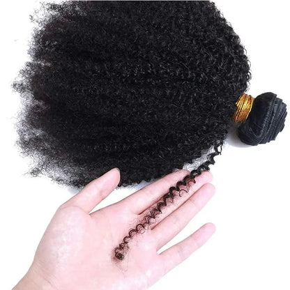 Afro Kinky Curly Bundles Human Hair  Brazilian Wig