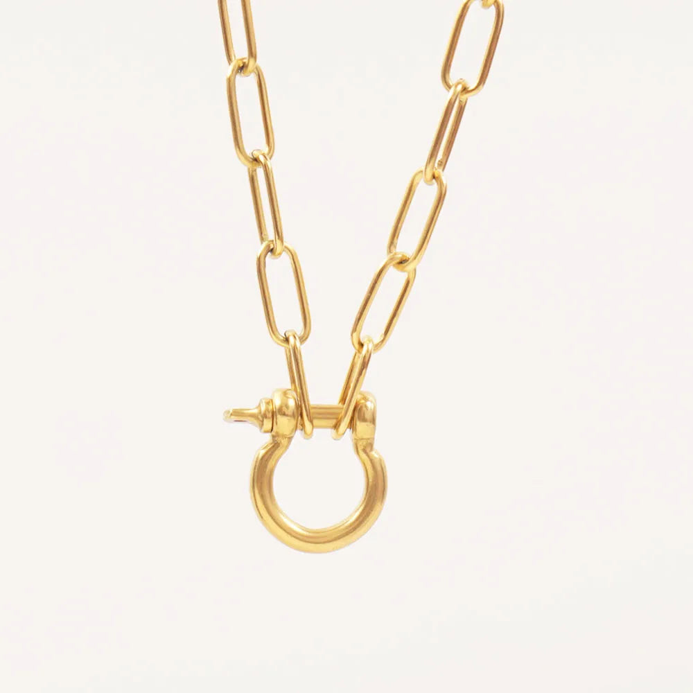 Stainless Steel San Benito Gold/Silver Choker Collar Necklace