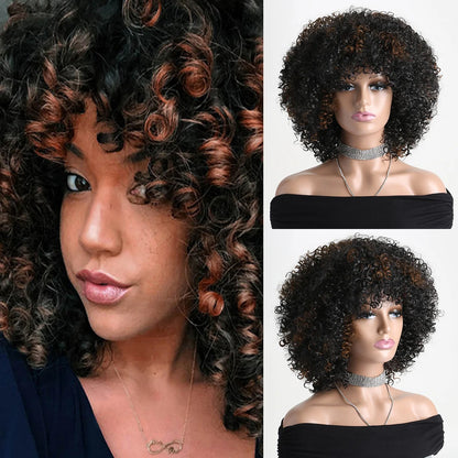 Afro Kinky Curly Soft Fluffy Hair Wigs
