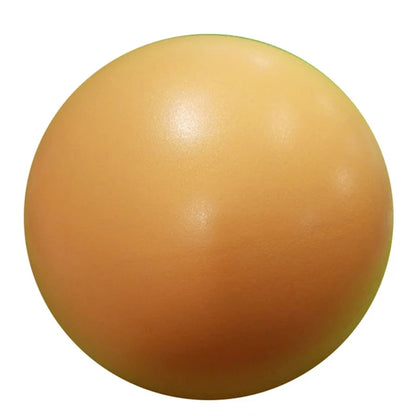 25cm Exercise Gymnastic Fitness Yoga Ball