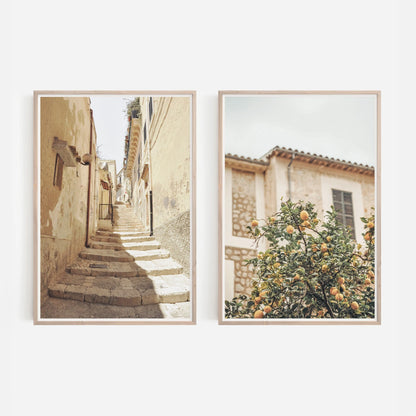 2pcs/set Neutral Olive Tree Shadow Vase Canvas