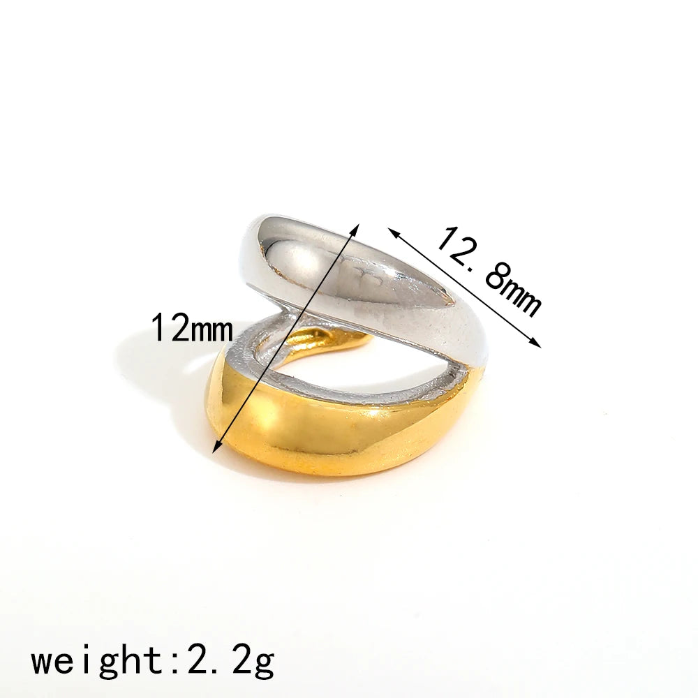 DANA 18K Gold Color Stainless Steel Earring