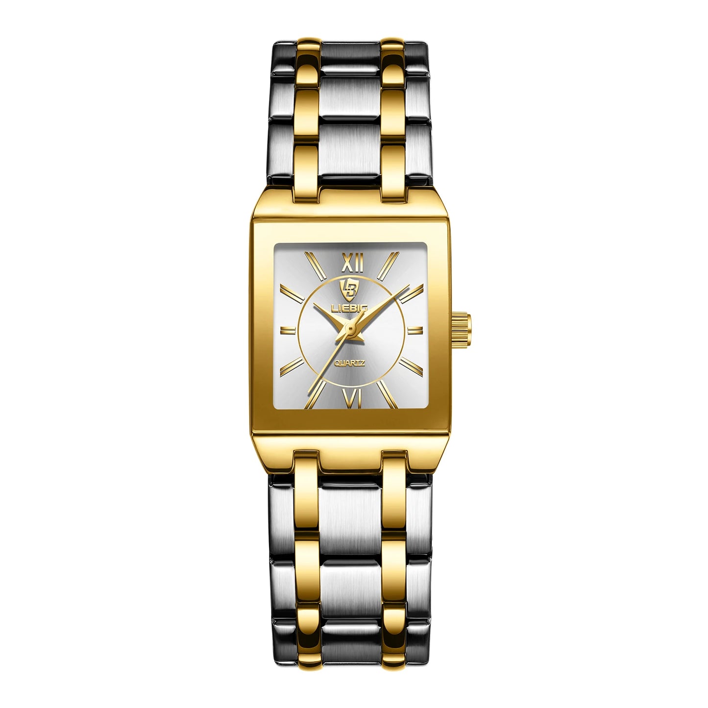 Luxury Automatic Stainless Steel Strap Watch