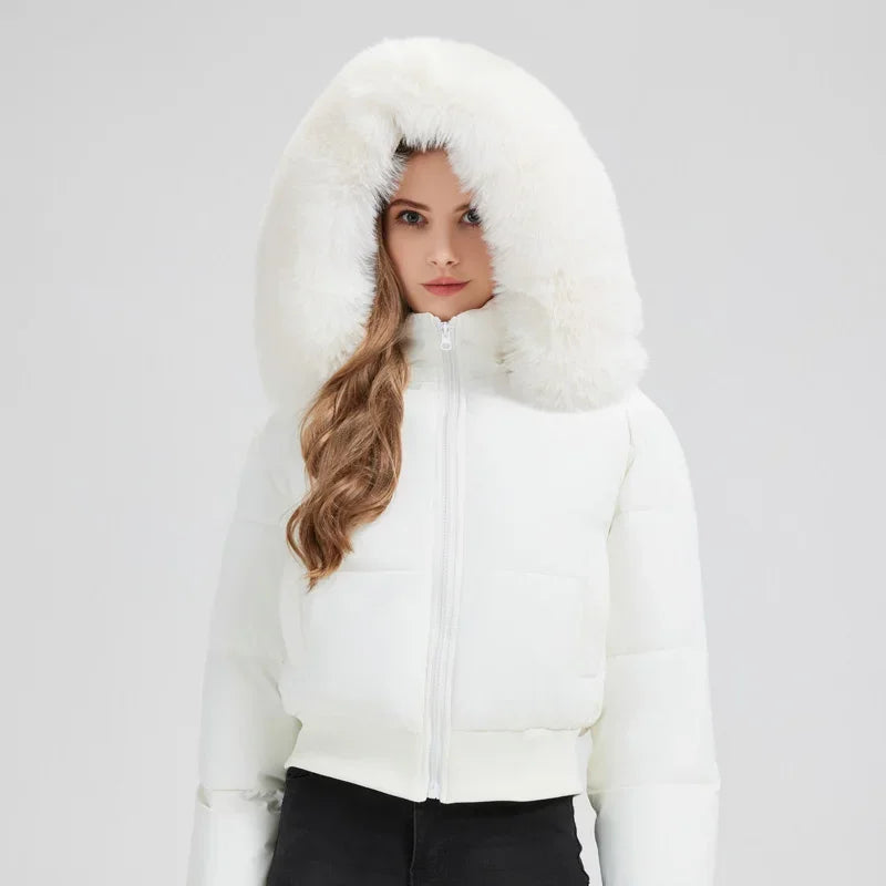 Korean Style Down Cotton Thicken Short Winter Jacket Coat