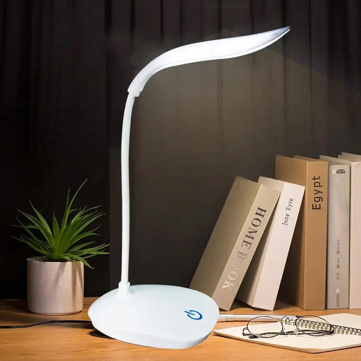 LED Reading Portable Desk Lamp USB Charging
