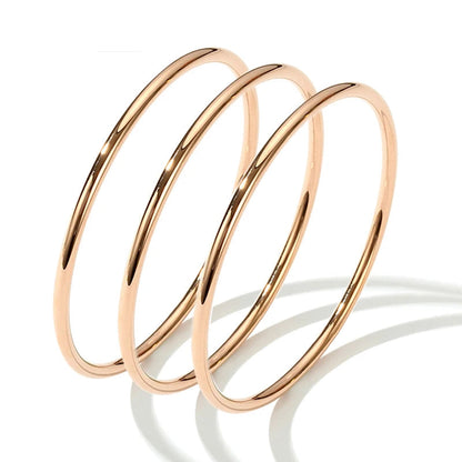 DANA Stainless Steel Bangles Bracelet