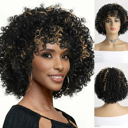 Afro Kinky Curly Soft Fluffy Hair Wigs