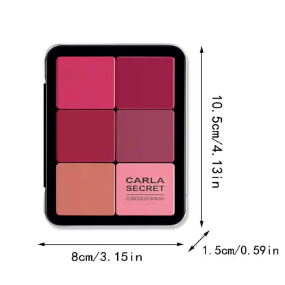 12-color concealer and blush palette Matte contour makeup