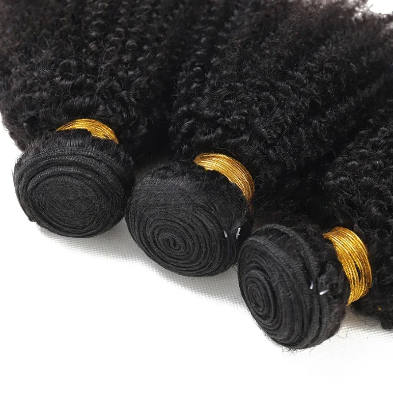 Afro Kinky Curly Bundles Human Hair  Brazilian Wig