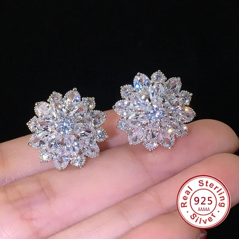 DANA Cute Big Bling Cubic Zirconia Earrings