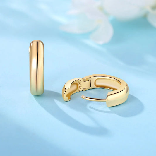 S925 Sterling Silver Zircon 18K Gold Lining Vintage Hoop Earrings