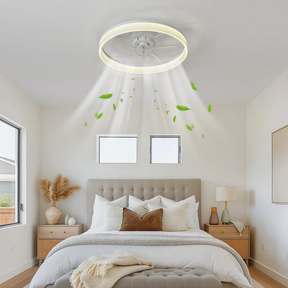 Ceiling Fan (With Lighting) Silent LED Dimmable Ceiling Fan