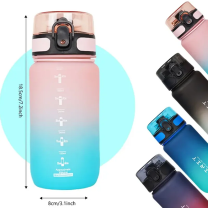 500ml/650ml Gradient Sports Water Bottle with Time Marker