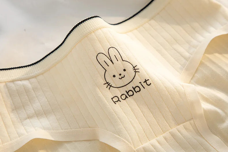 5Pcs/Lot Cotton Sexy Mid-Rise Lingerie