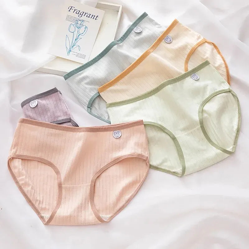 5Pcs/Set Cotton Underwear Lingerie