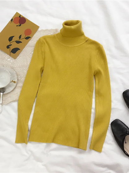 Turtleneck Sweater Korean Slim Pullover Jumper Knitted Sweater