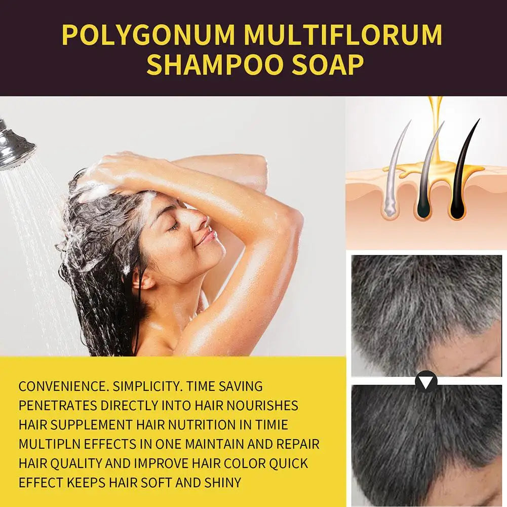 شامبو صبغ الشعر للتحكم بالزيت الرقيق