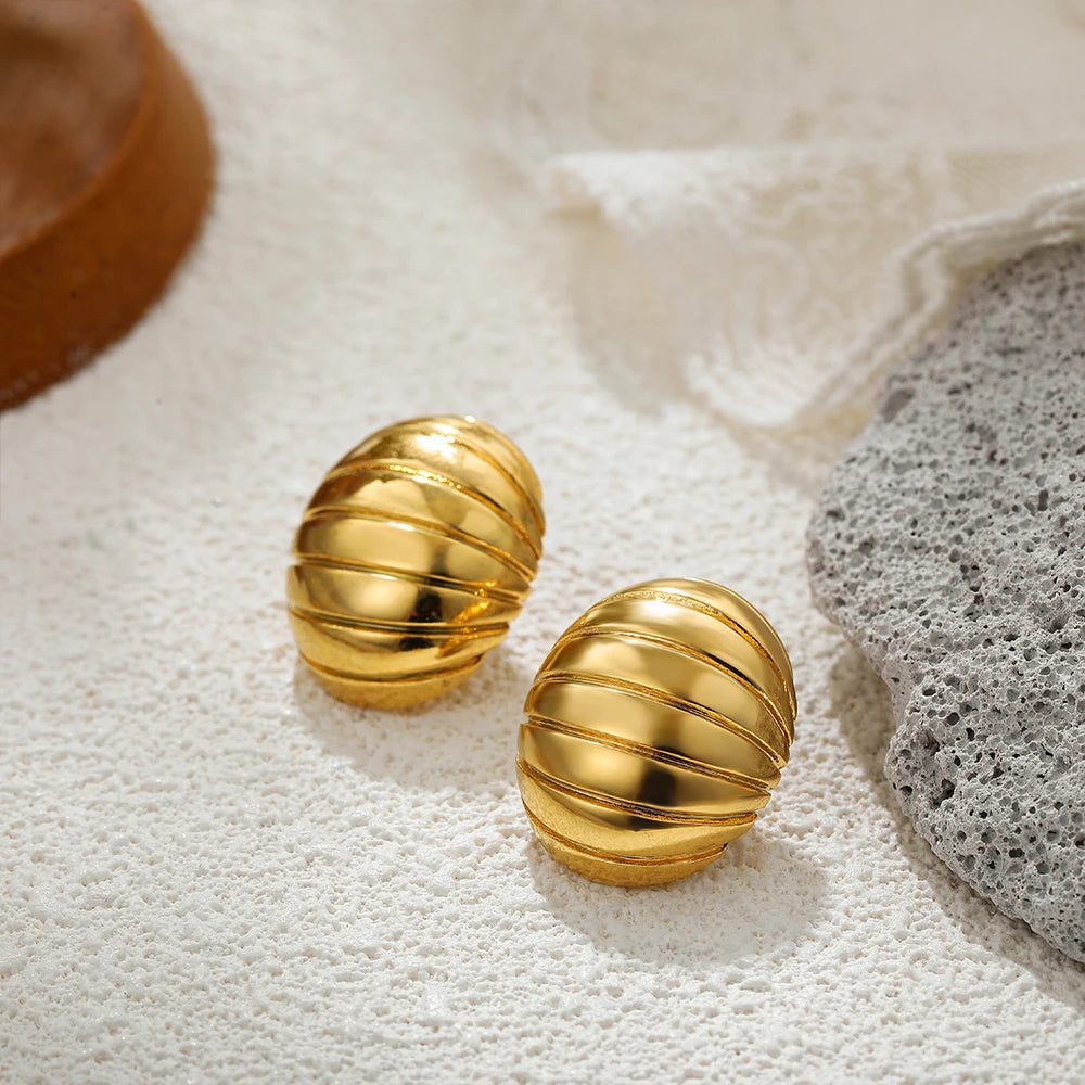 DANA Gold Color Stainless Steel Earring