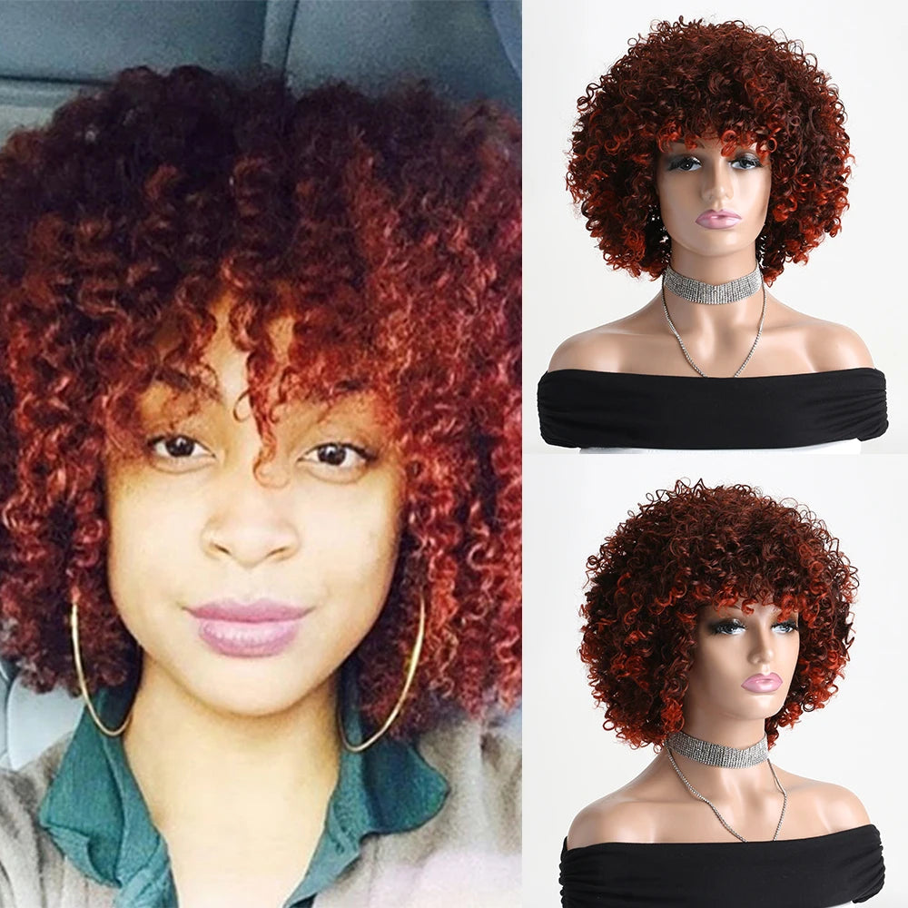 Afro Kinky Curly Soft Fluffy Hair Wigs