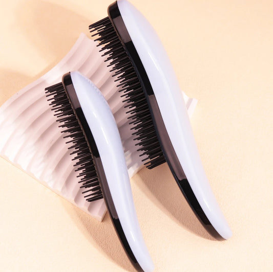 2pc Large and Small Hair Brush