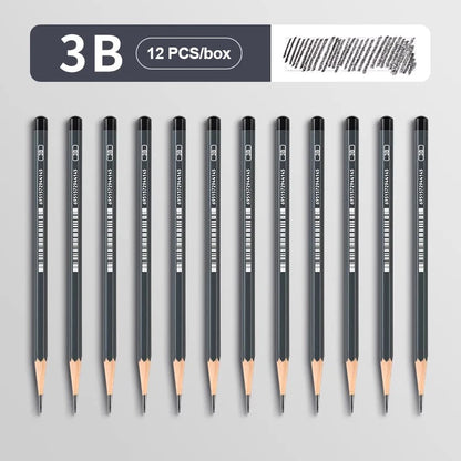 2H HB B 2B 3B 4B 5B 6B 7B 8B 12B 14B Sketch Drawing Graphite Charcoal Pencils Set
