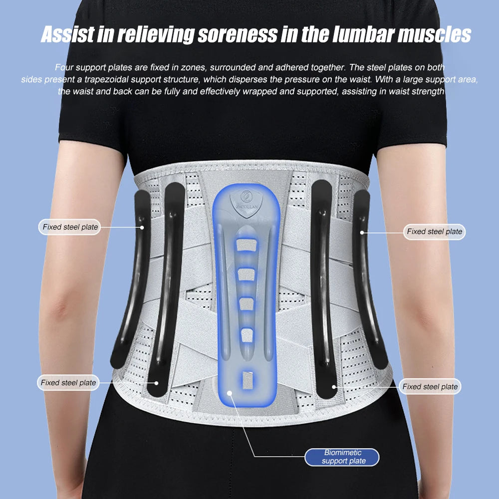 Back Brace for Lower Back Pain Relief Support Belt