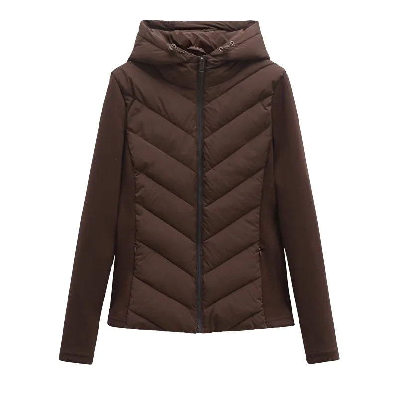 Elegant long sleeve standing collar hooded cotton sport coat