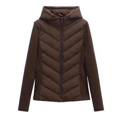 Elegant long sleeve standing collar hooded cotton sport coat