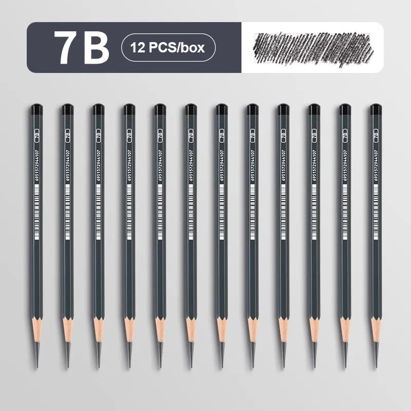 2H HB B 2B 3B 4B 5B 6B 7B 8B 12B 14B Sketch Drawing Graphite Charcoal Pencils Set