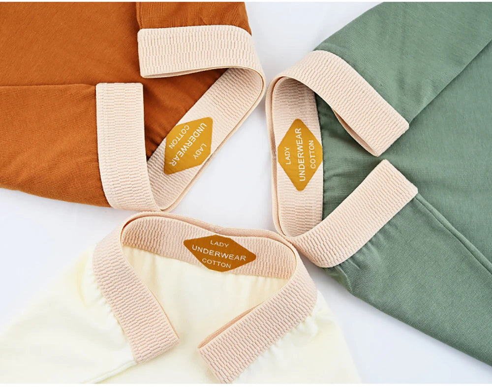 3PCS/Pack 100% Cotton Boxer Mid-rise Thin Lingerie