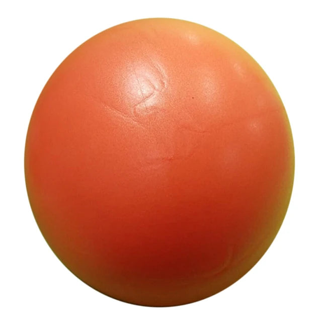 25cm Exercise Gymnastic Fitness Yoga Ball