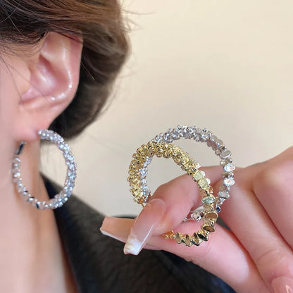 Luxury Big Round Hoop Earrings
