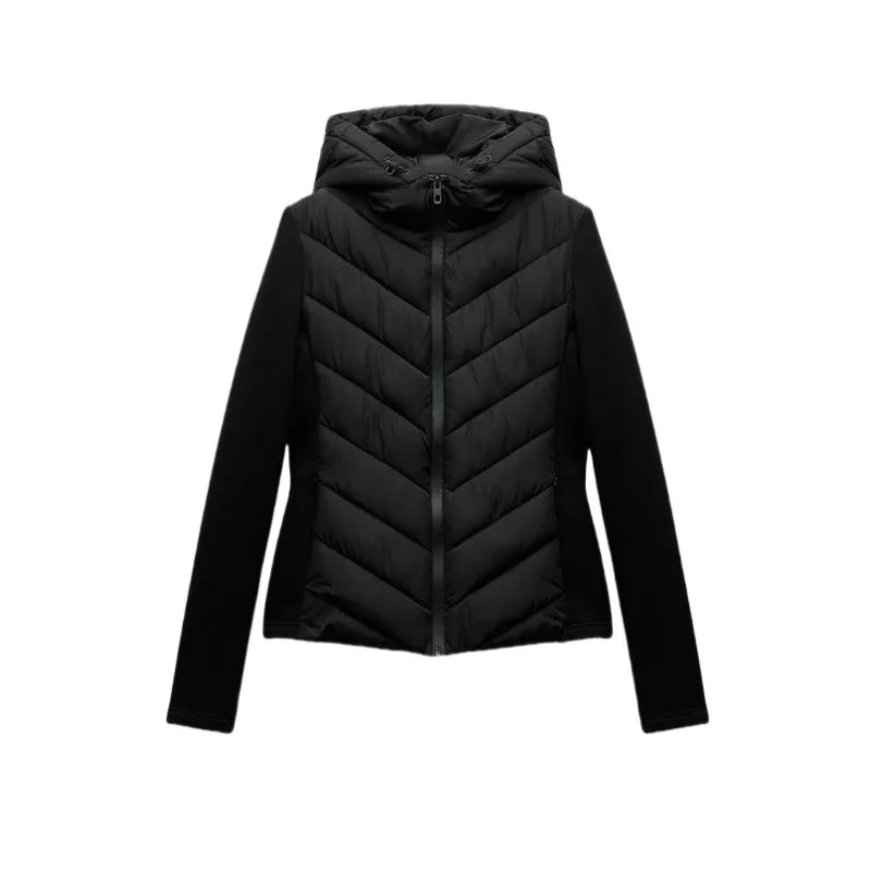 Elegant long sleeve standing collar hooded cotton sport coat
