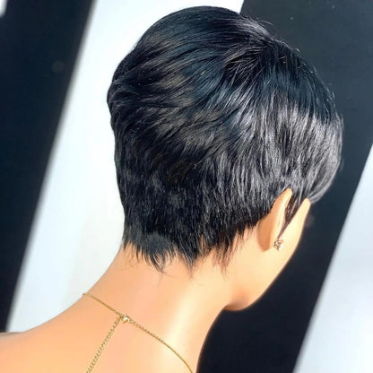Straight Human Hair Wigs