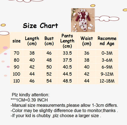 0-24 Months Newborn Baby Girl 3PCS Set
