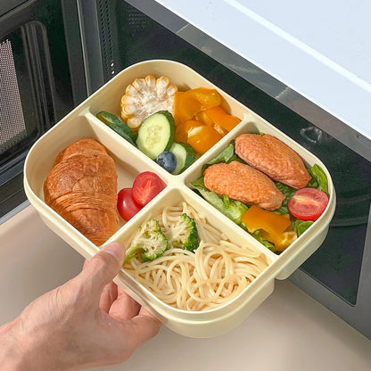 Microwave Plastic Divided Lunch Box With Handle Camping