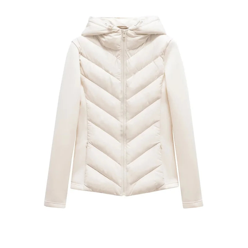 Elegant long sleeve standing collar hooded cotton sport coat