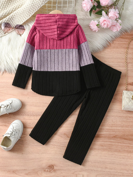 Color-Blocking Tops And Trousers Going Out Spring And Autumn Hooded Set