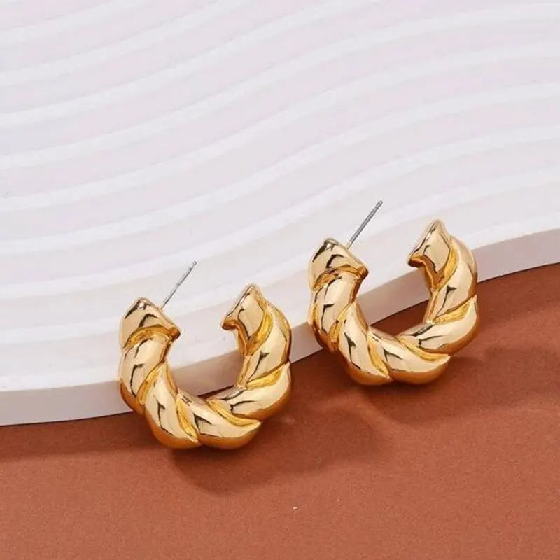 Crystal Stone Hoop Earrings Twisted Metal