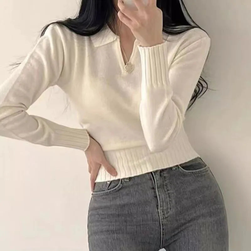 Korean Chic Turndown Collar Gray Slim Fit Long Sleeve Cropped Sweater