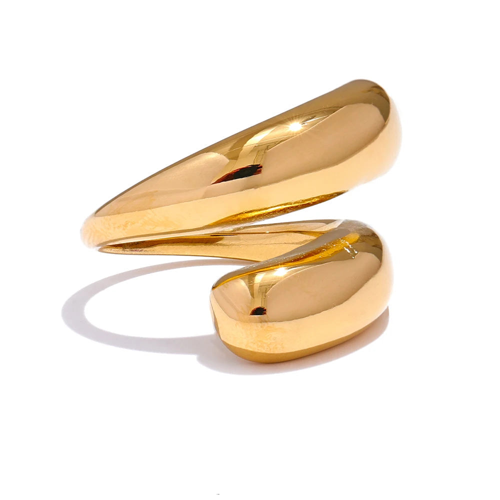 DANA 18K PVD Sleek Metal Ring