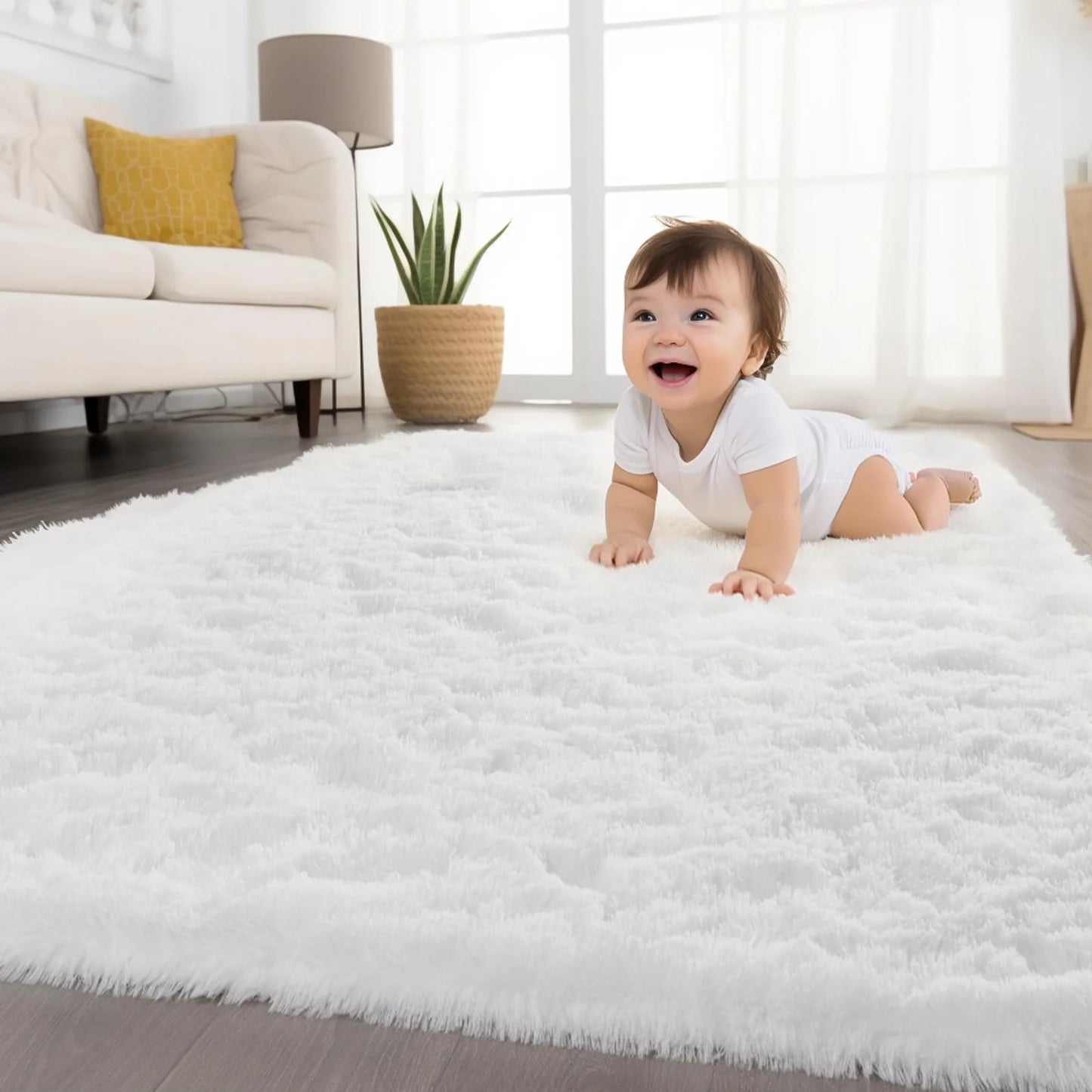 Minimalist Style Living Room Carpet Fluffy