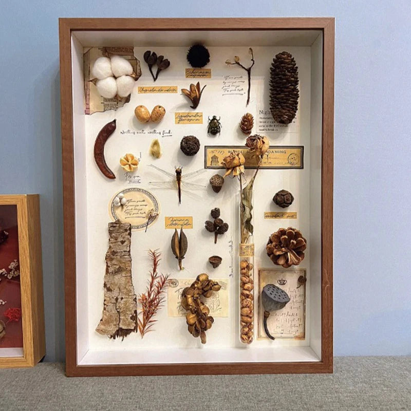 3D Photo Frame Hollow Dried Flower Specimen Holder Handmade