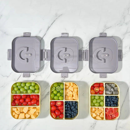 Microwave Plastic Divided Lunch Box With Handle Camping