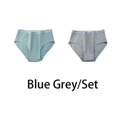 2PCS/Set Cotton Solid Panties Sexy Plus Size Lingerie