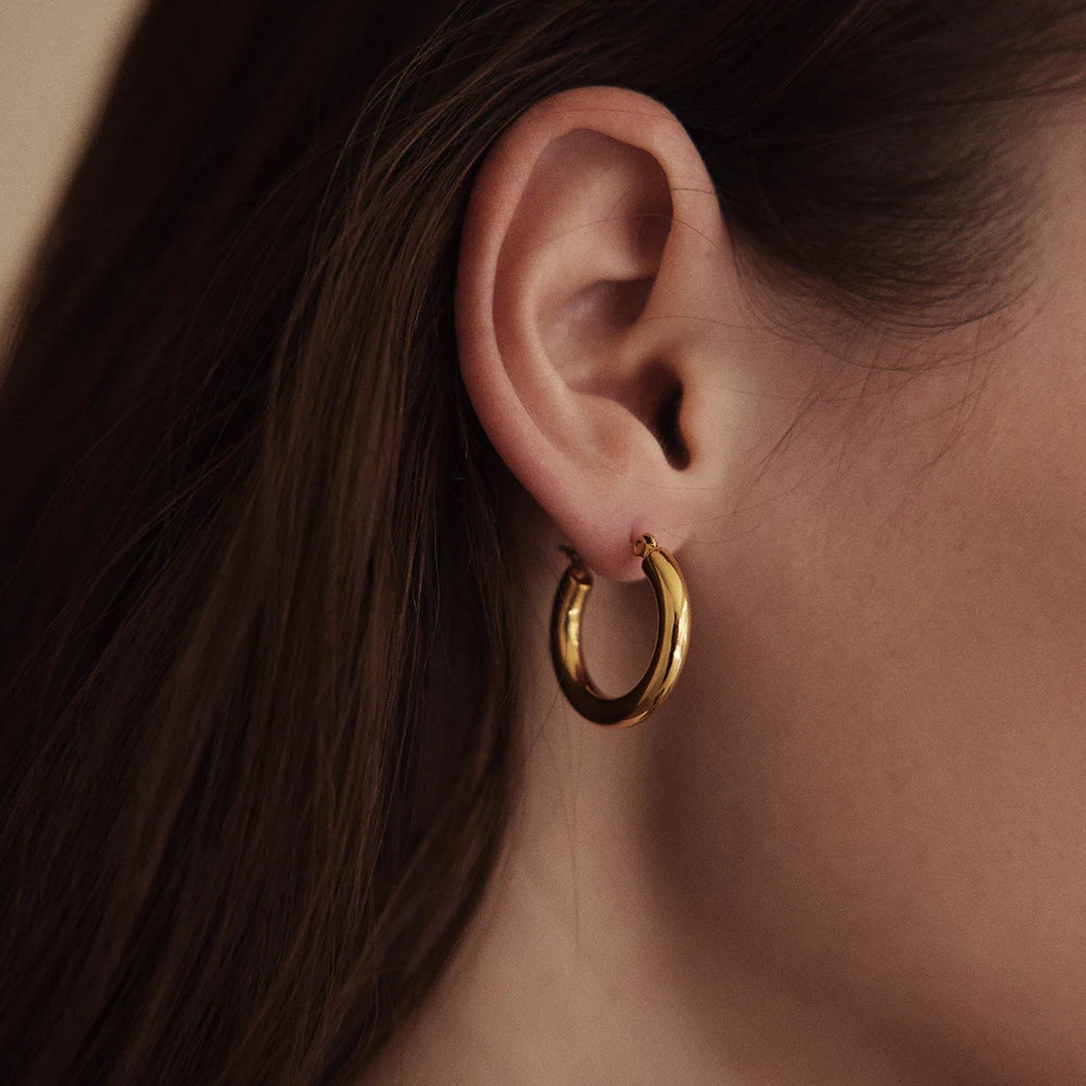 Classic Stainless Steel Ear Buckle Gold Small Large Circle Hoop Earrings